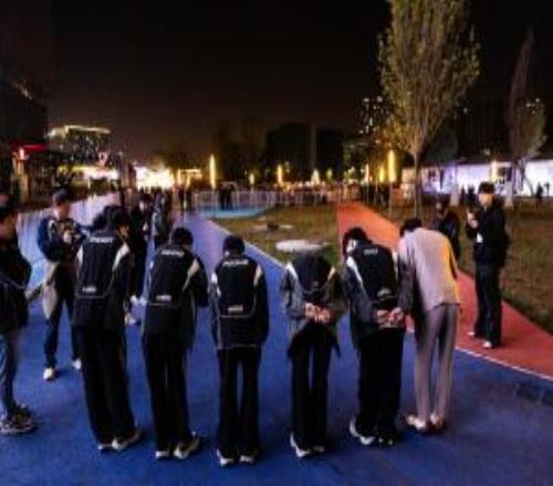 pain 替换 dgt 和 dav1deuS